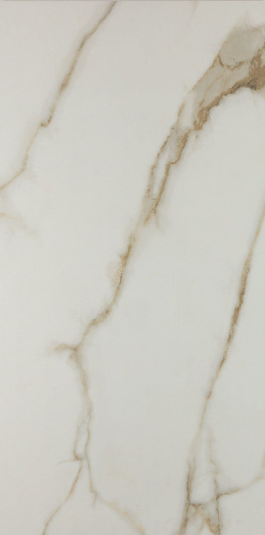 Gold 24x48 Polished