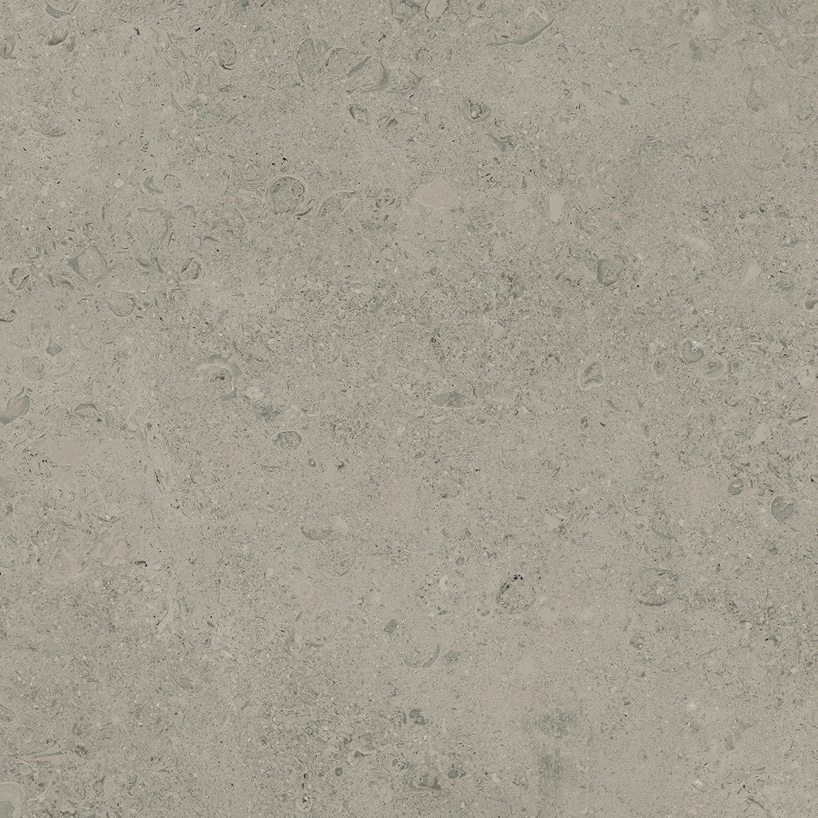 Grey 24x24