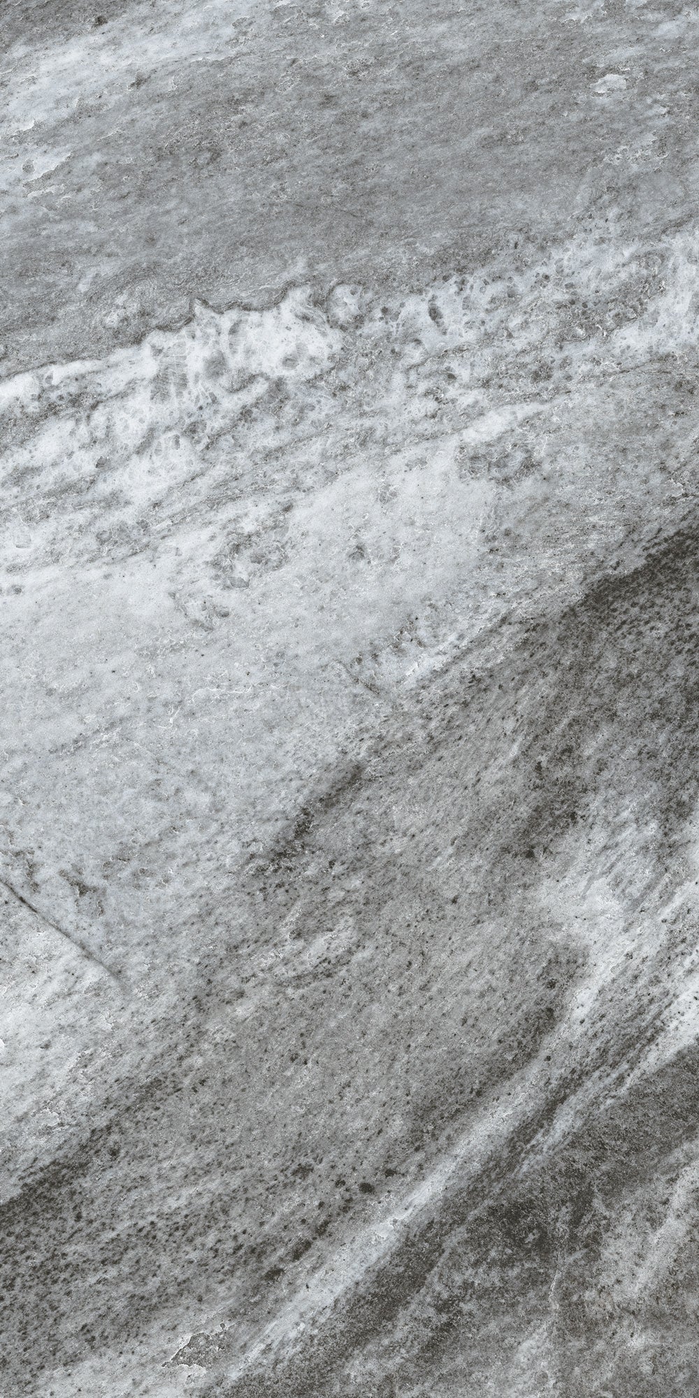 Gris 12x24 Matte