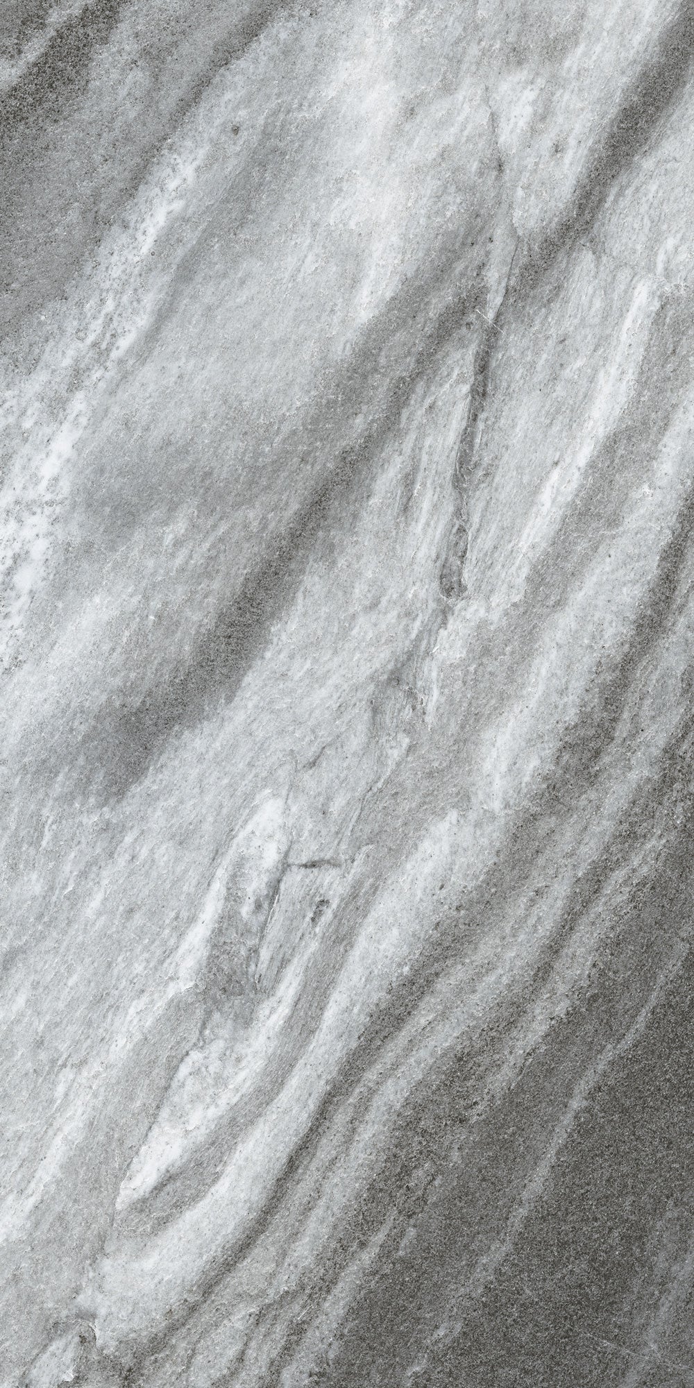 Gris 12x24 Matte