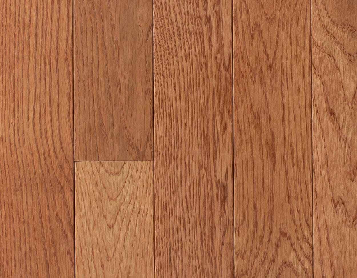 Red Oak Gunstock 2¼"