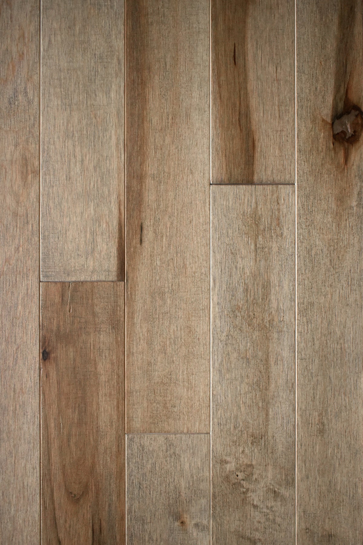 Hard Maple Cambium 3¼" Matte