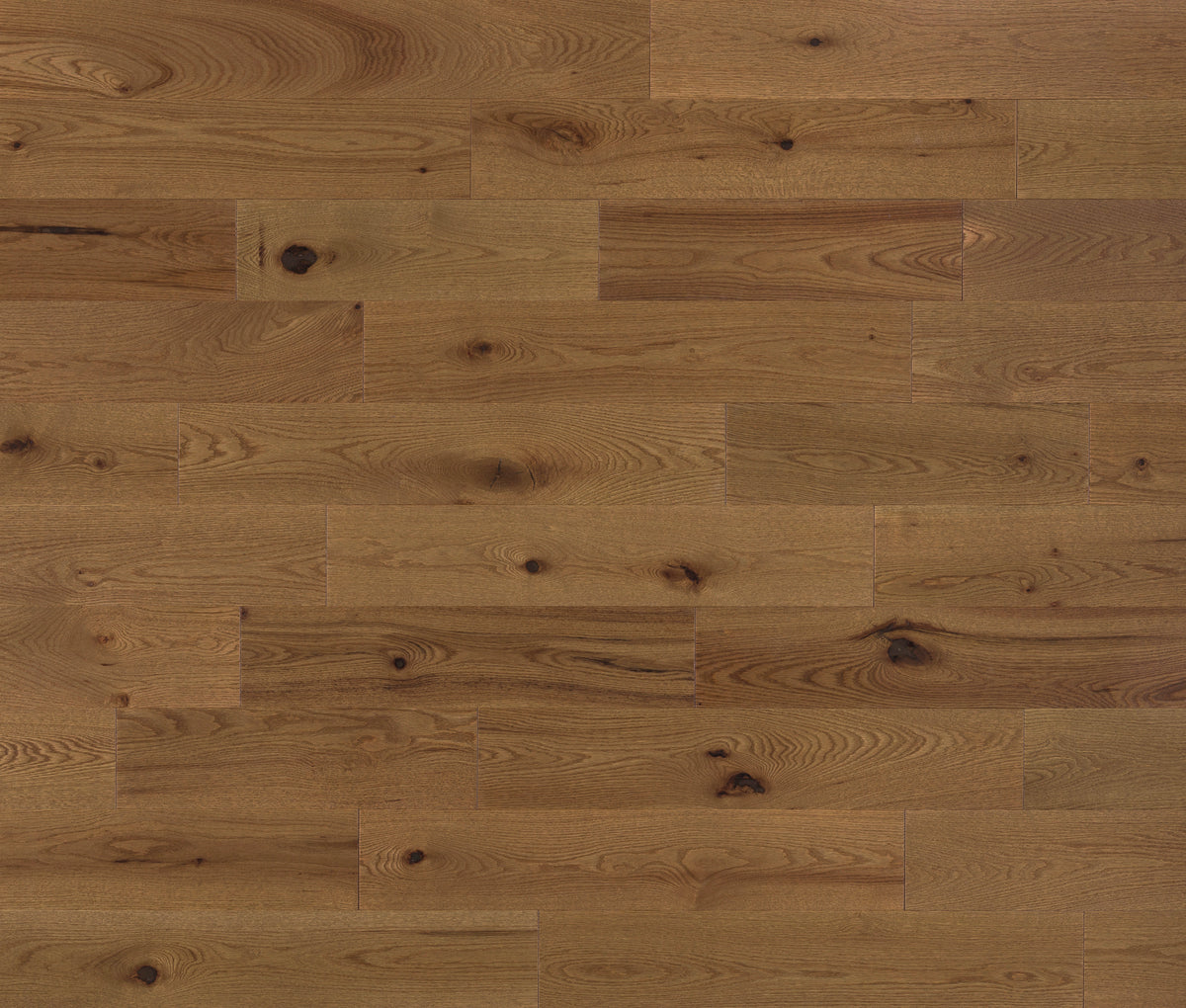 Harmonia 5x71