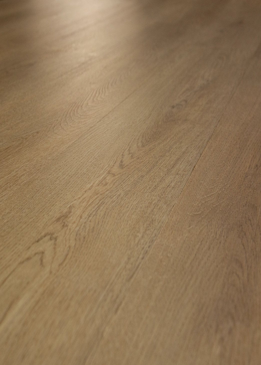 Plainfield Oak 7x48