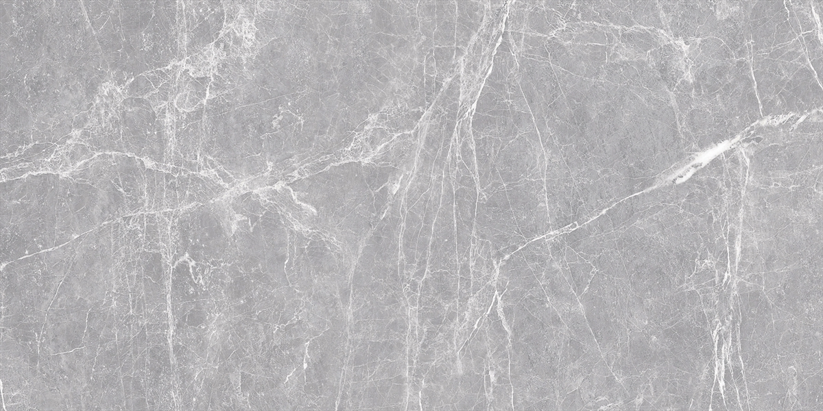 Terre Gray Polished 24x48