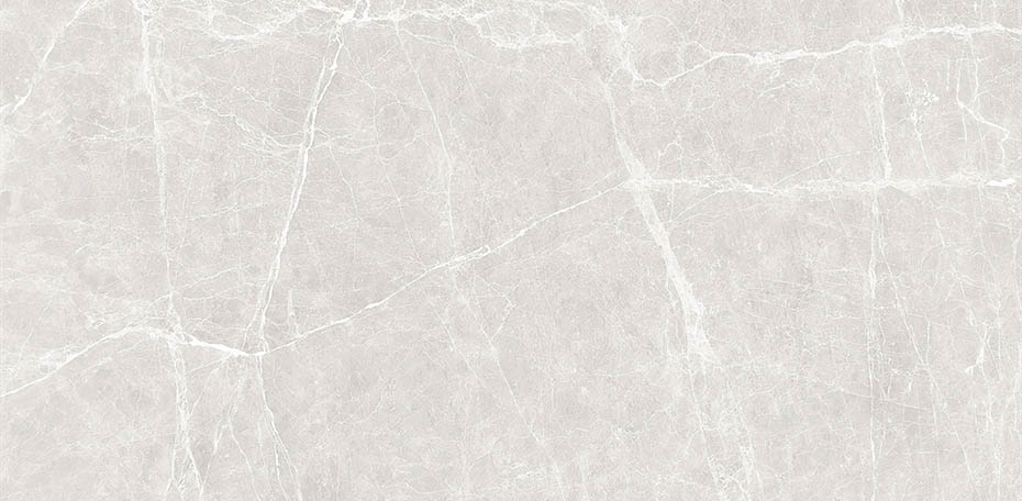 Terre White Polished 24x48