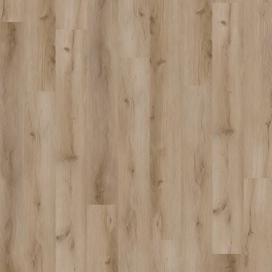 Light Maple 9x72