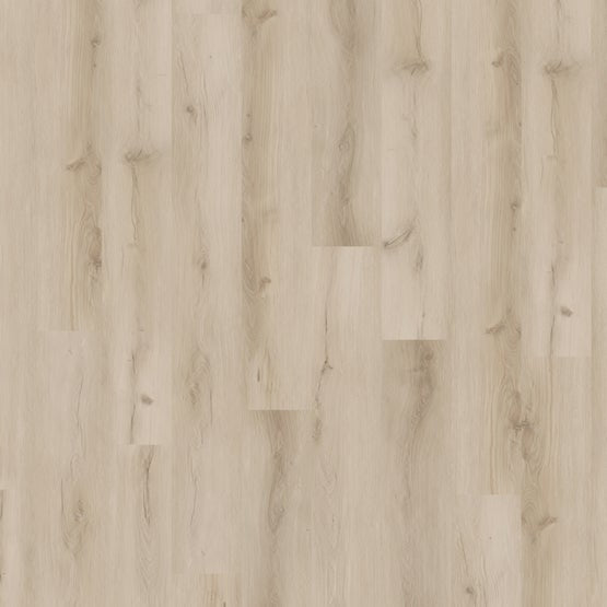 French Vanilla 9x72