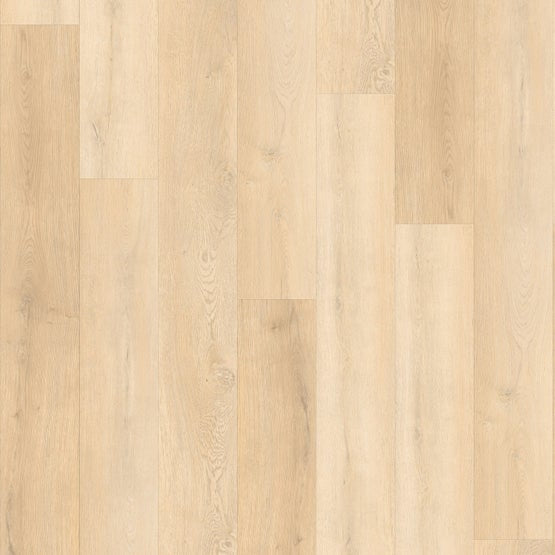 Parchment 9x72