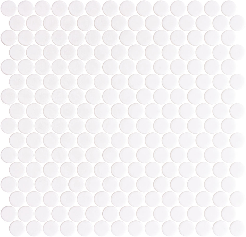 Shiny White Penny 11x11