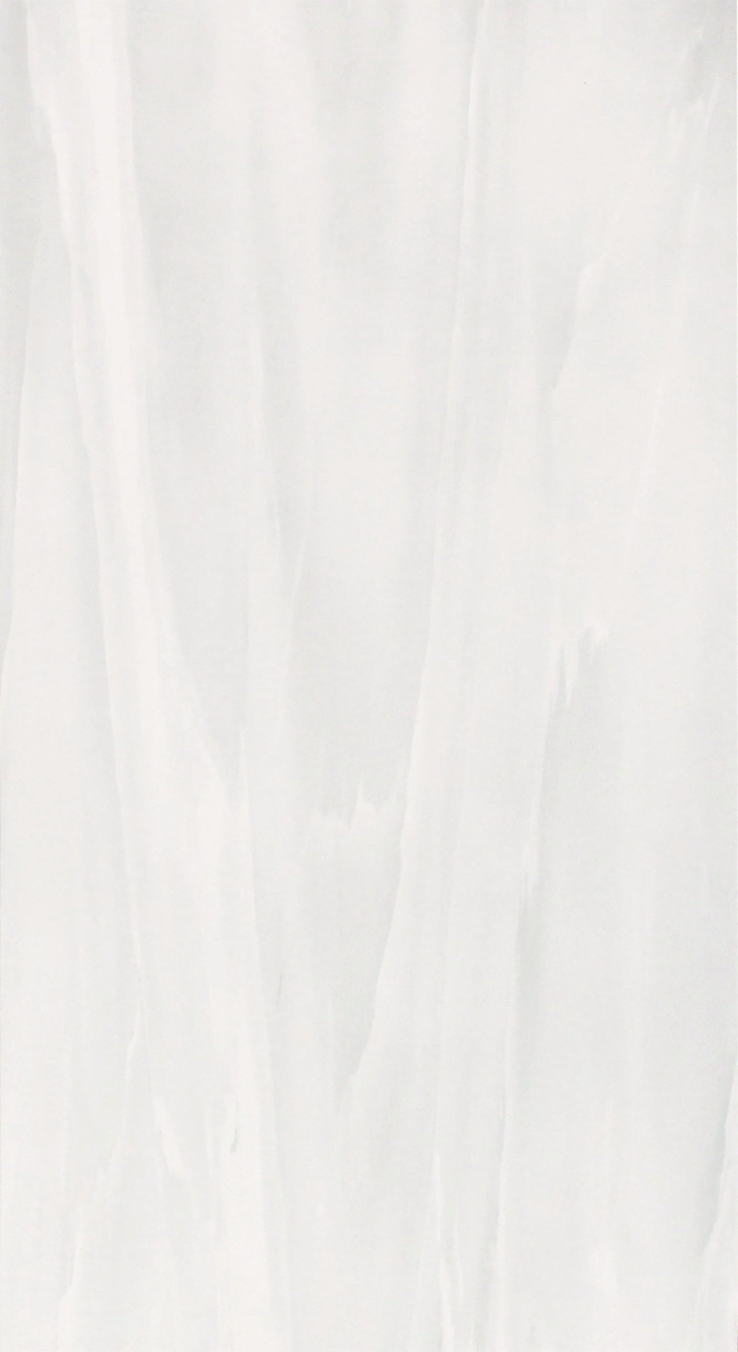 Light Gray 24x48 Polished