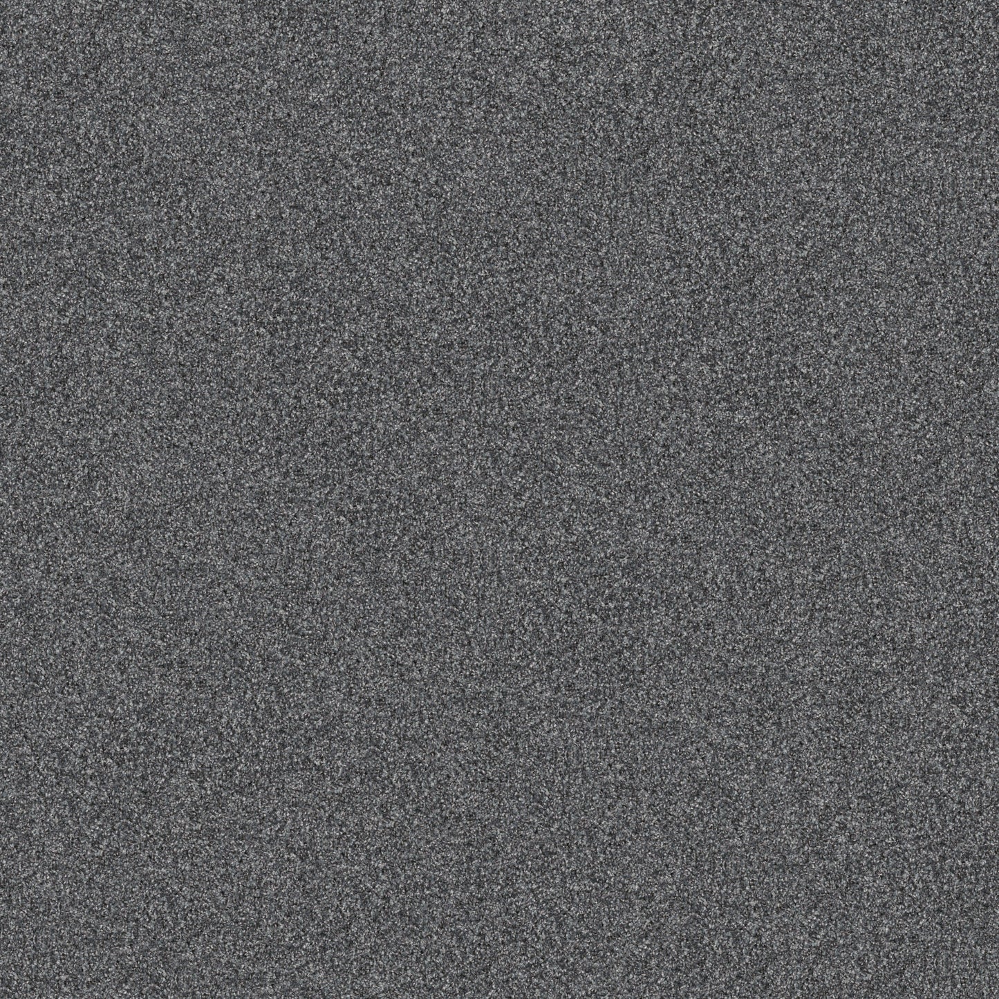 Solid dark gray color swatch