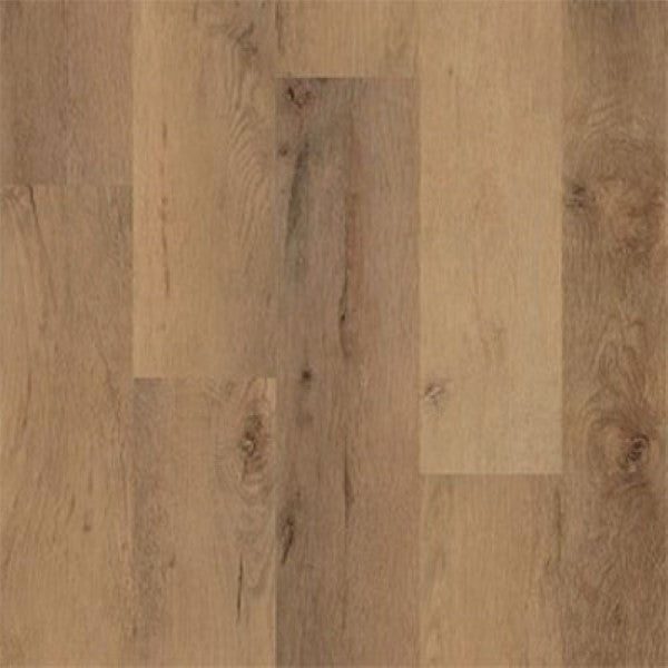 Camel Oak 9x72