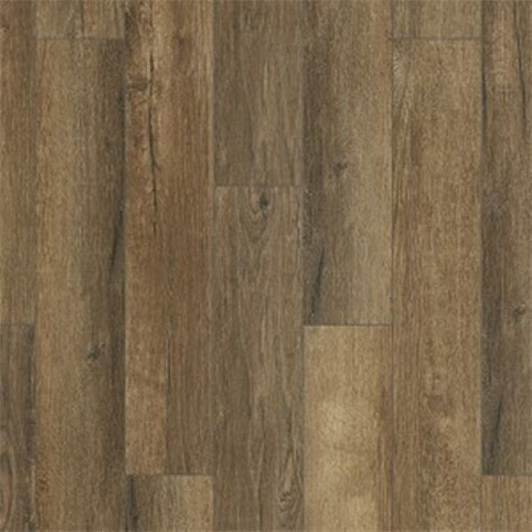 Grinnell Oak