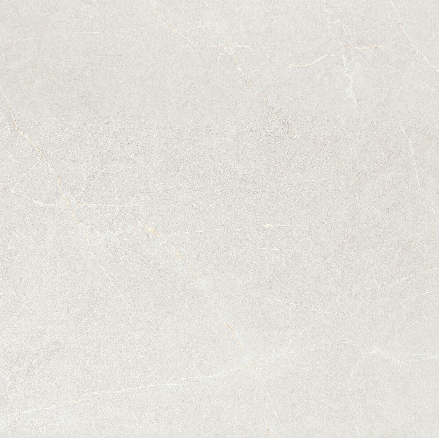 Semi Polished Ivory 24x24