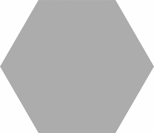 Silver Hexagon 8x10