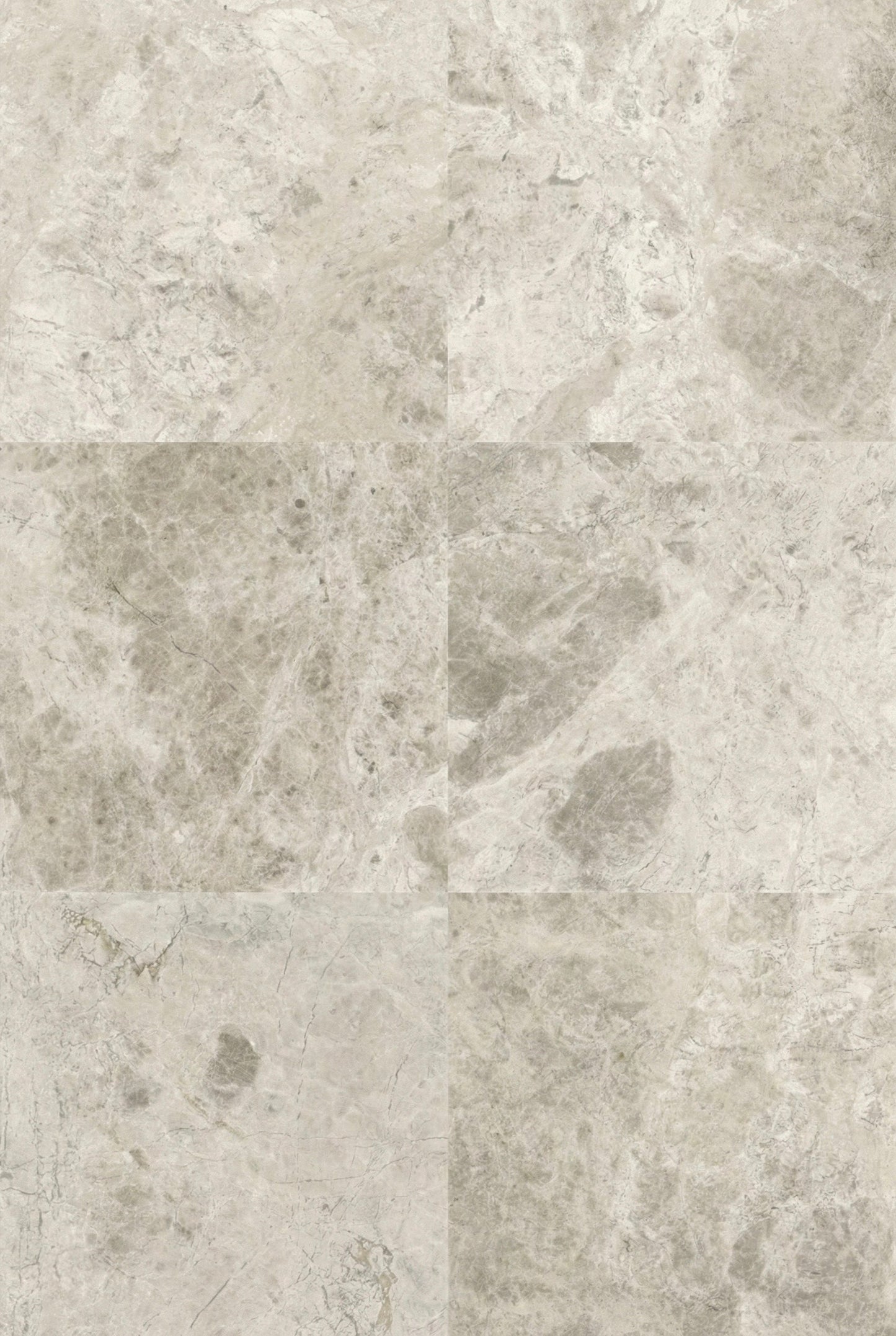 Silver Oyster 12x24 Honed
