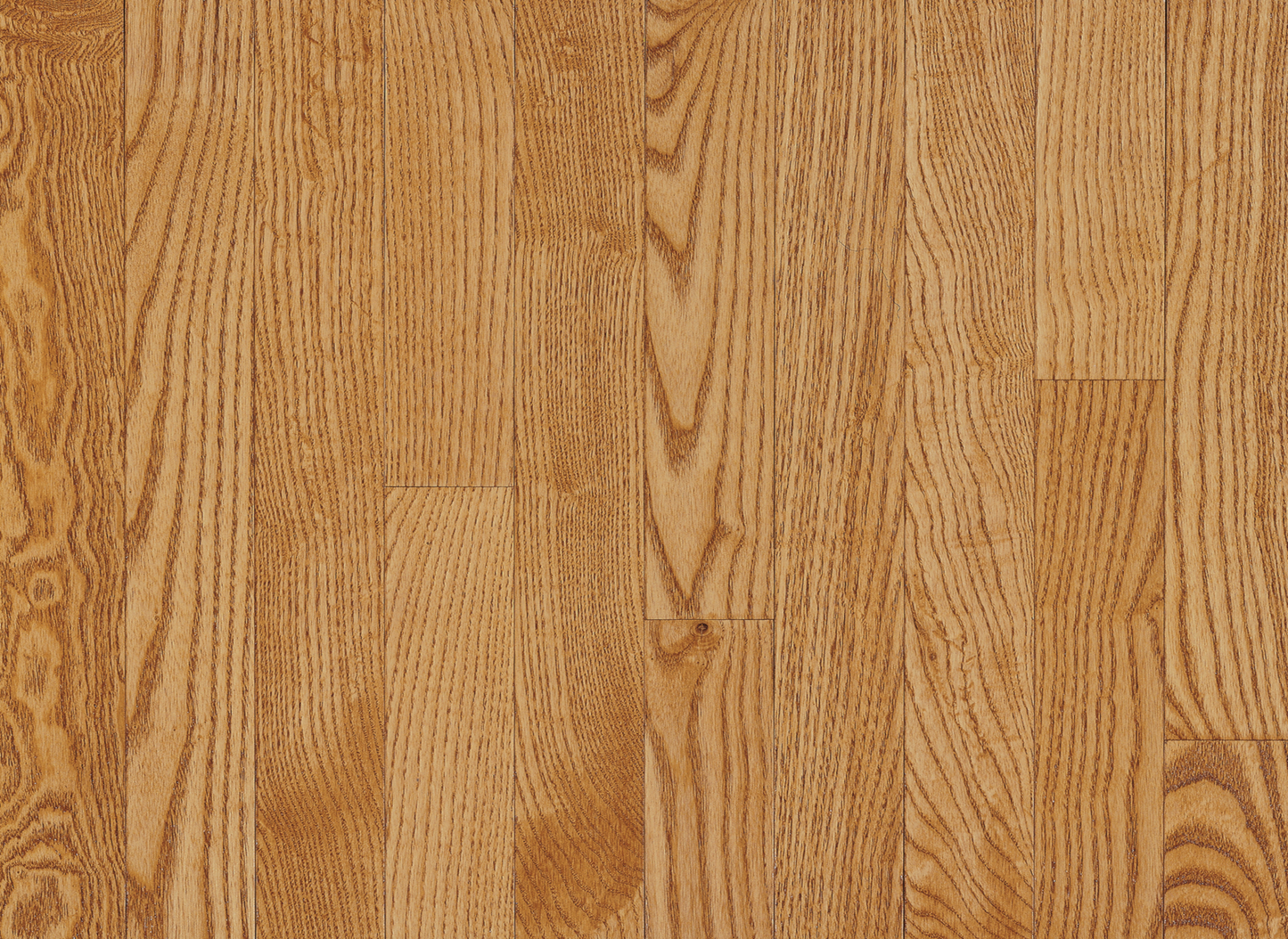 Spice Oak 3¼"