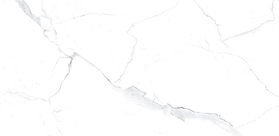 Statuario 24x48 Matte