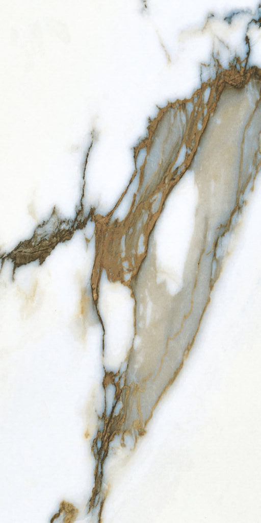 Tropical Breeze 24x48 Polished