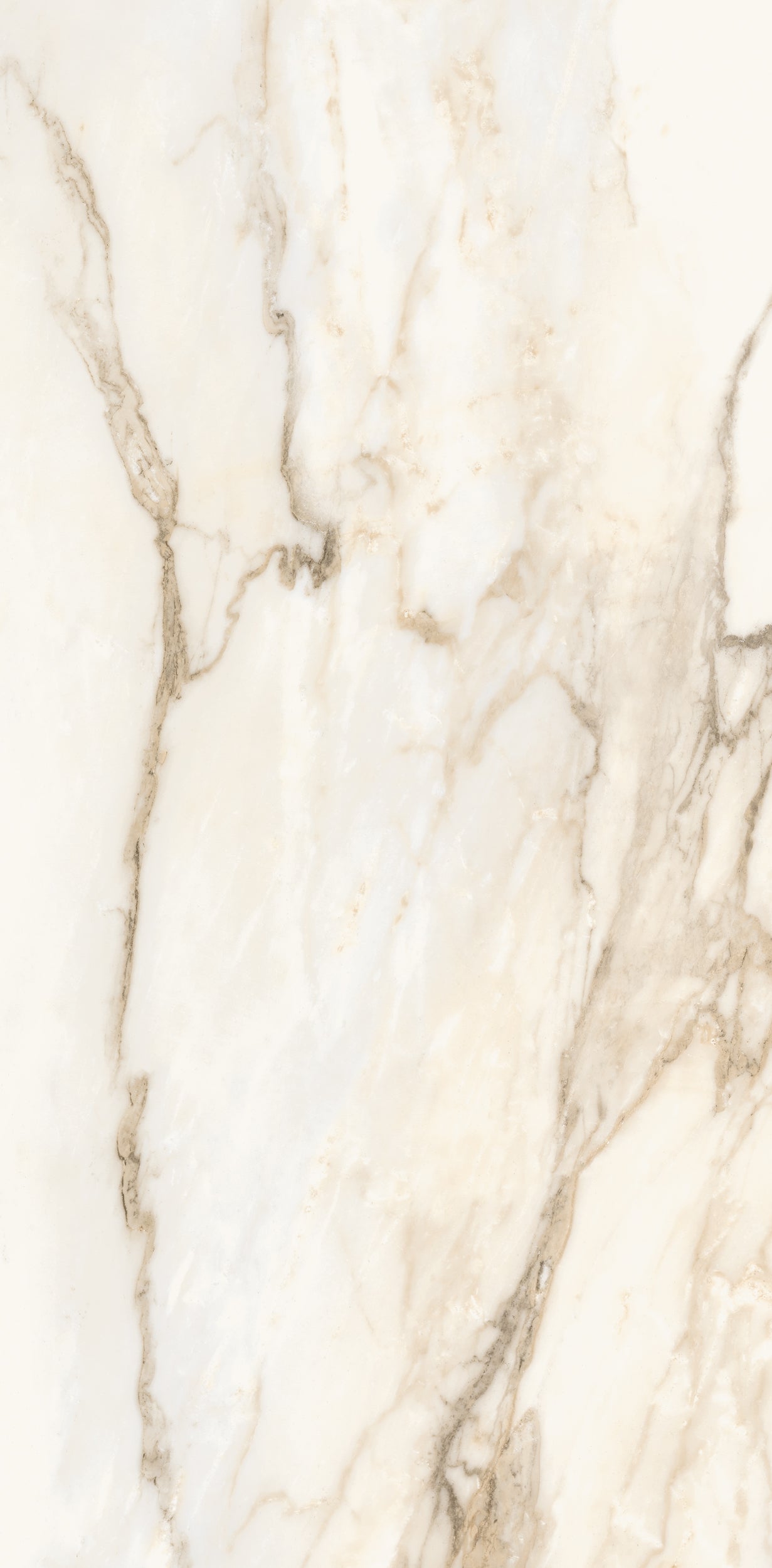 Vivace 12X24 Natural