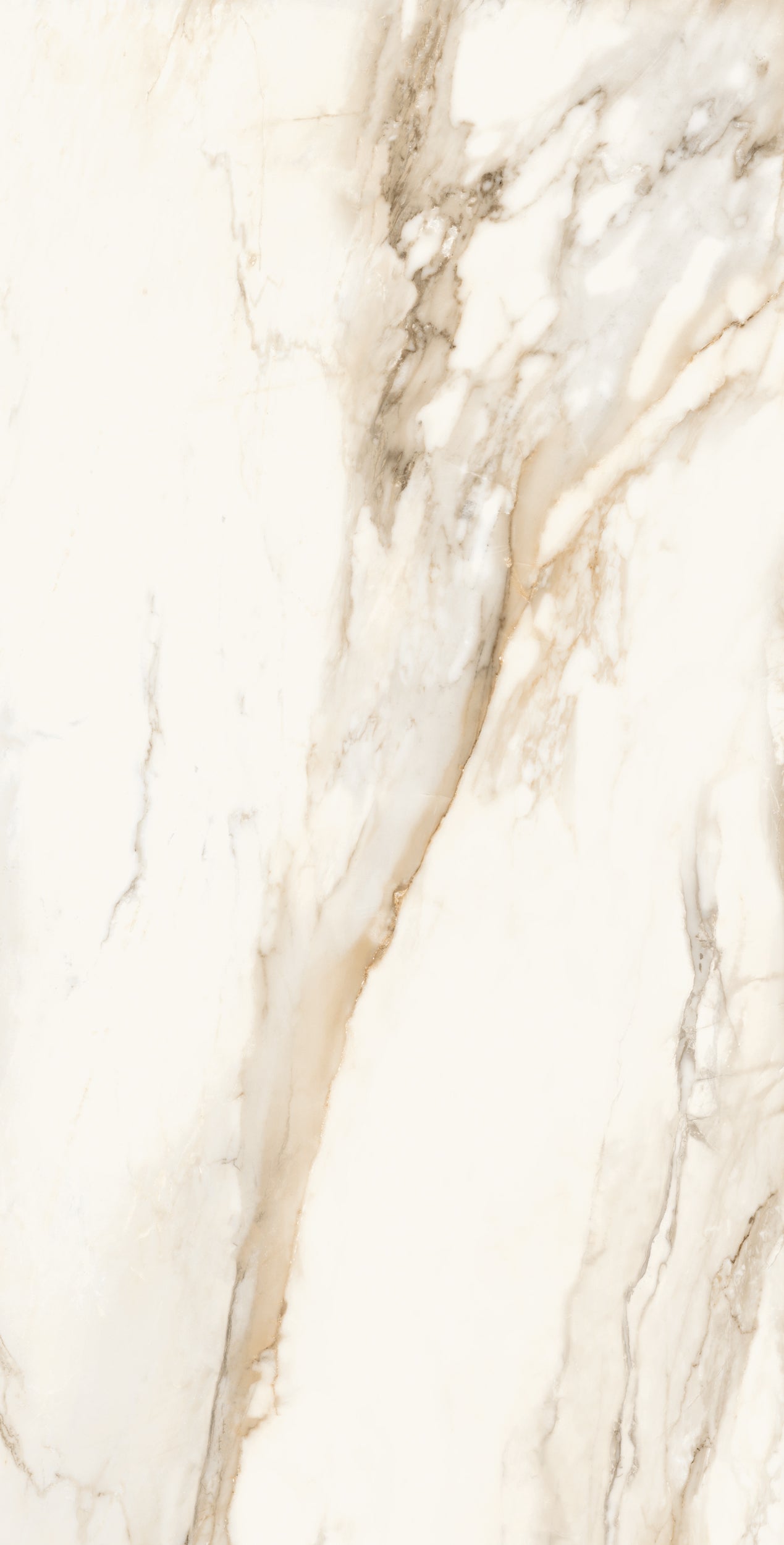 Vivace 24X48 Natural
