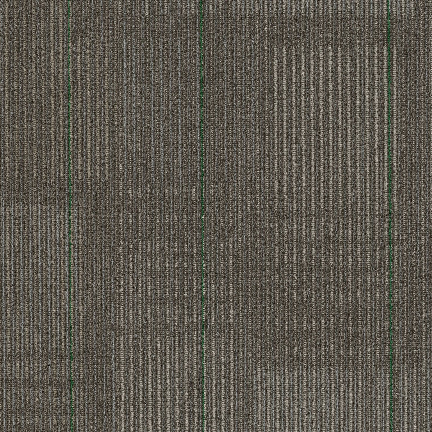 Warm Green 16oz