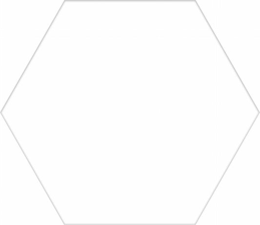 White Hexagon 8x10