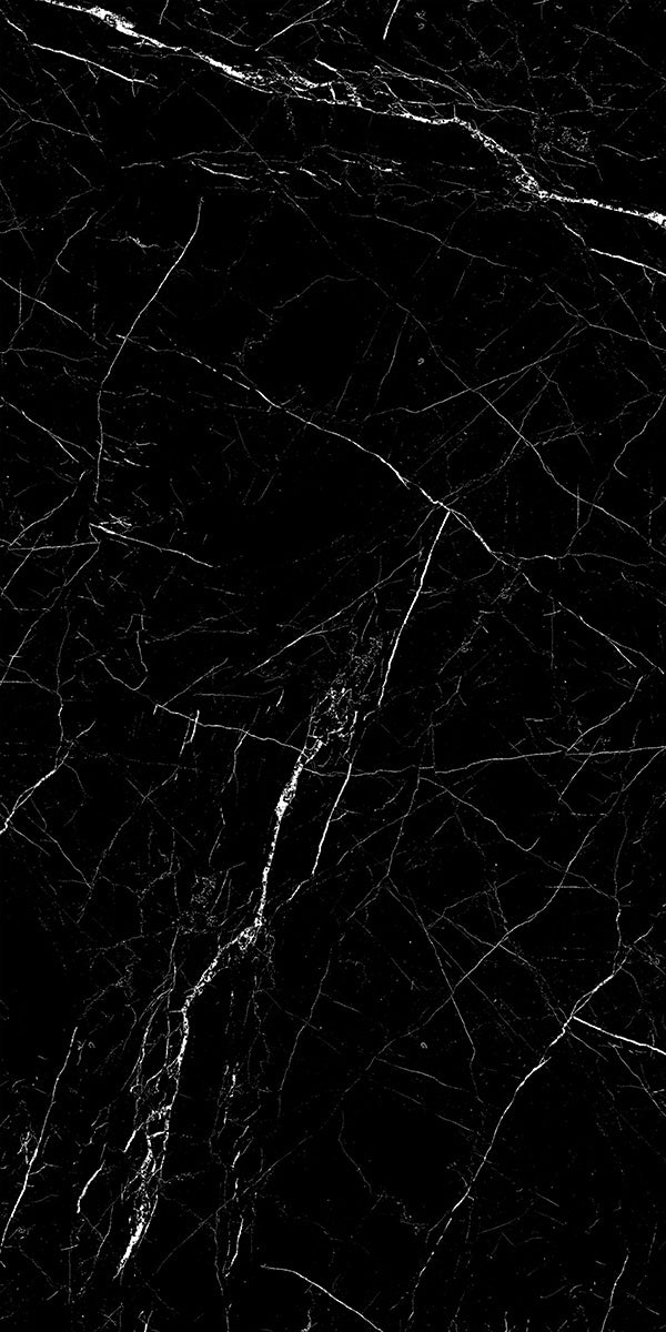 Black Marble 12x24 Polished