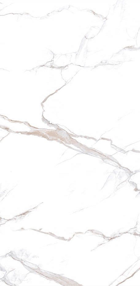 Calacatta Bronze Matte 24x48