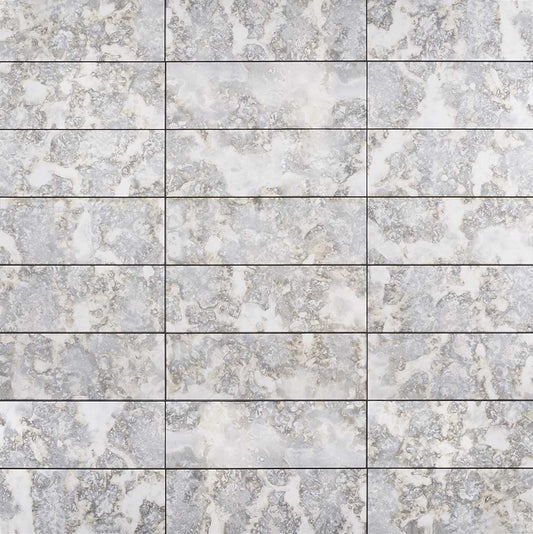 Argenta 6X18 Polished