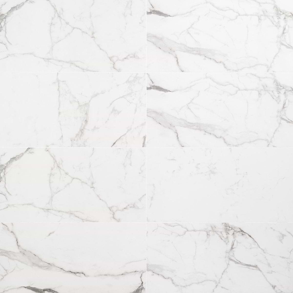 Venato 12X24 Matte