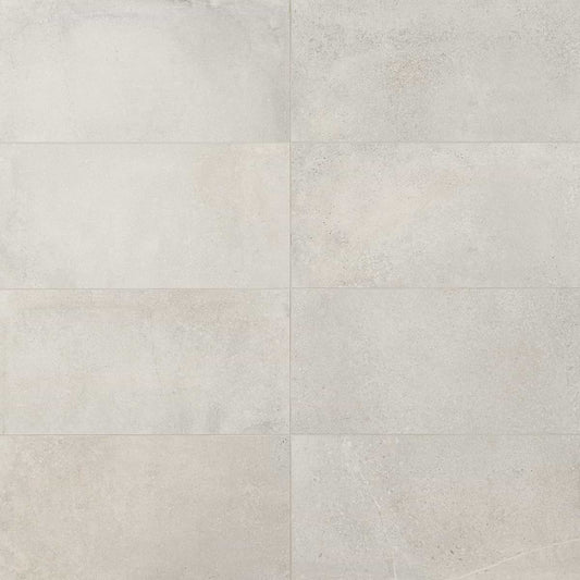 Argent Silver 12X24 Matte