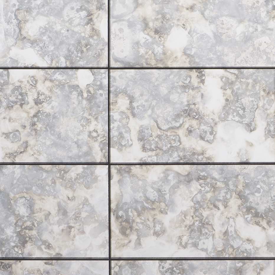 Argenta 6X18 Polished