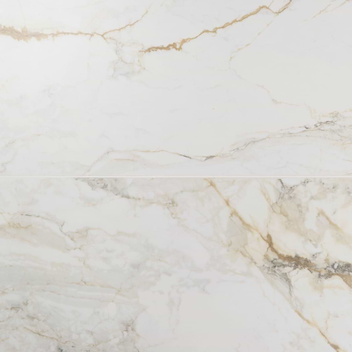 Pisa Macchia Calacatta 24X48 Matte