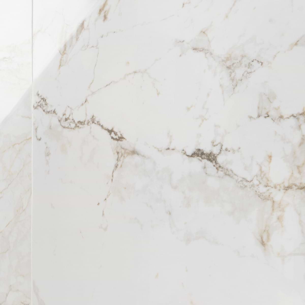 Pisa Macchia Calacatta 48X48 Polished