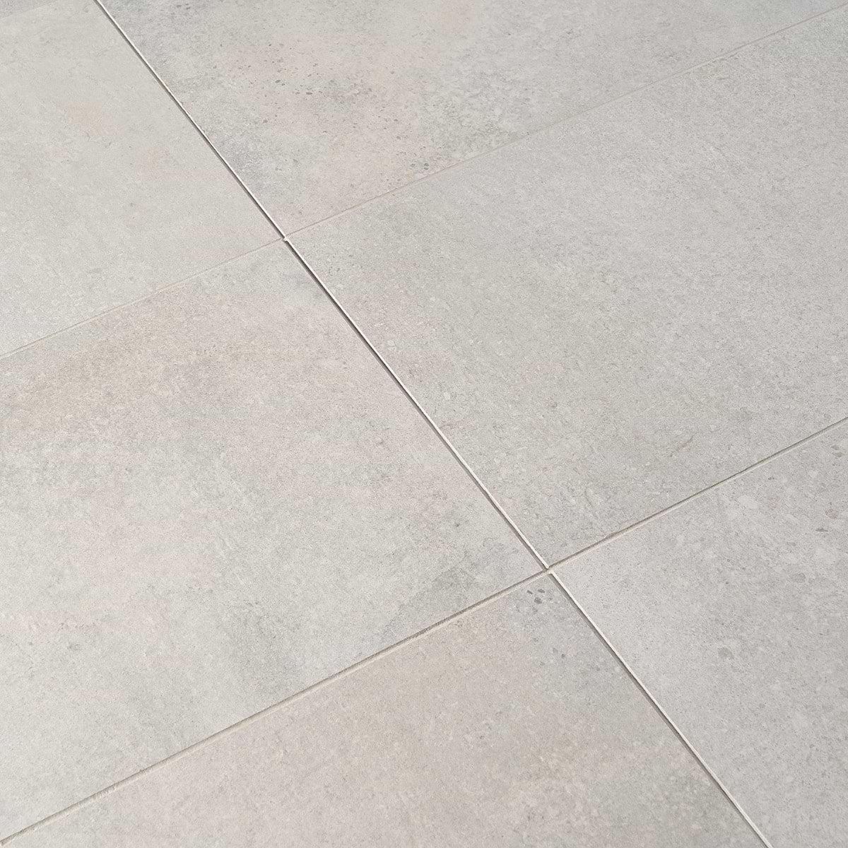 Argent Silver 12X24 Matte
