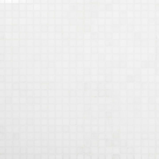 Thassos 1X1 Polished