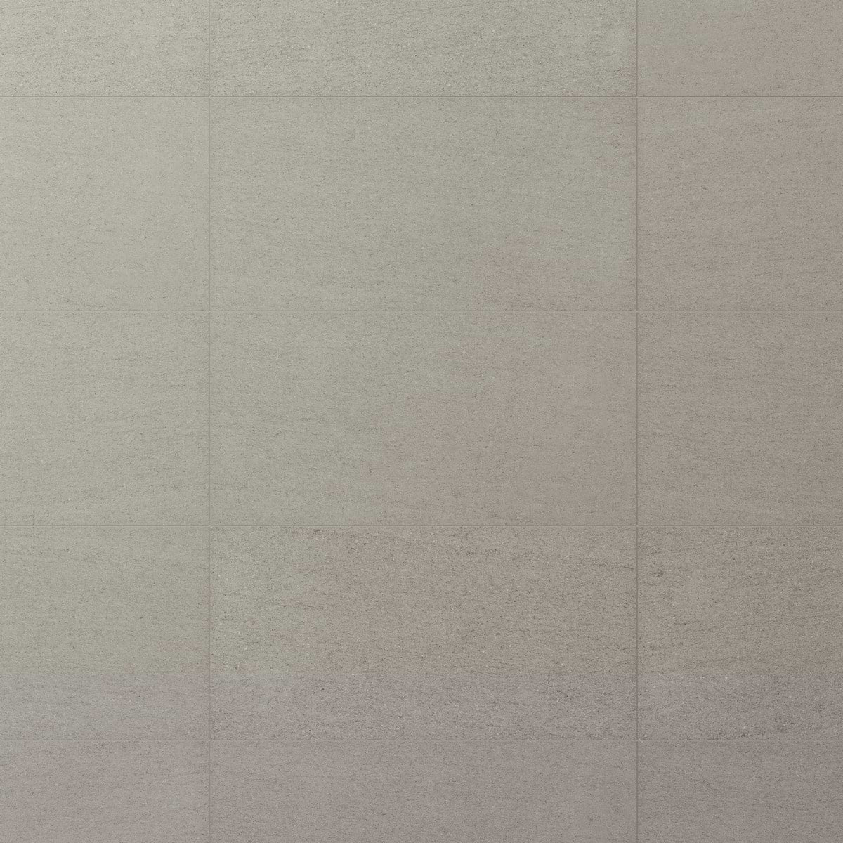 Tectonic Silver Gray 12X24 Matte