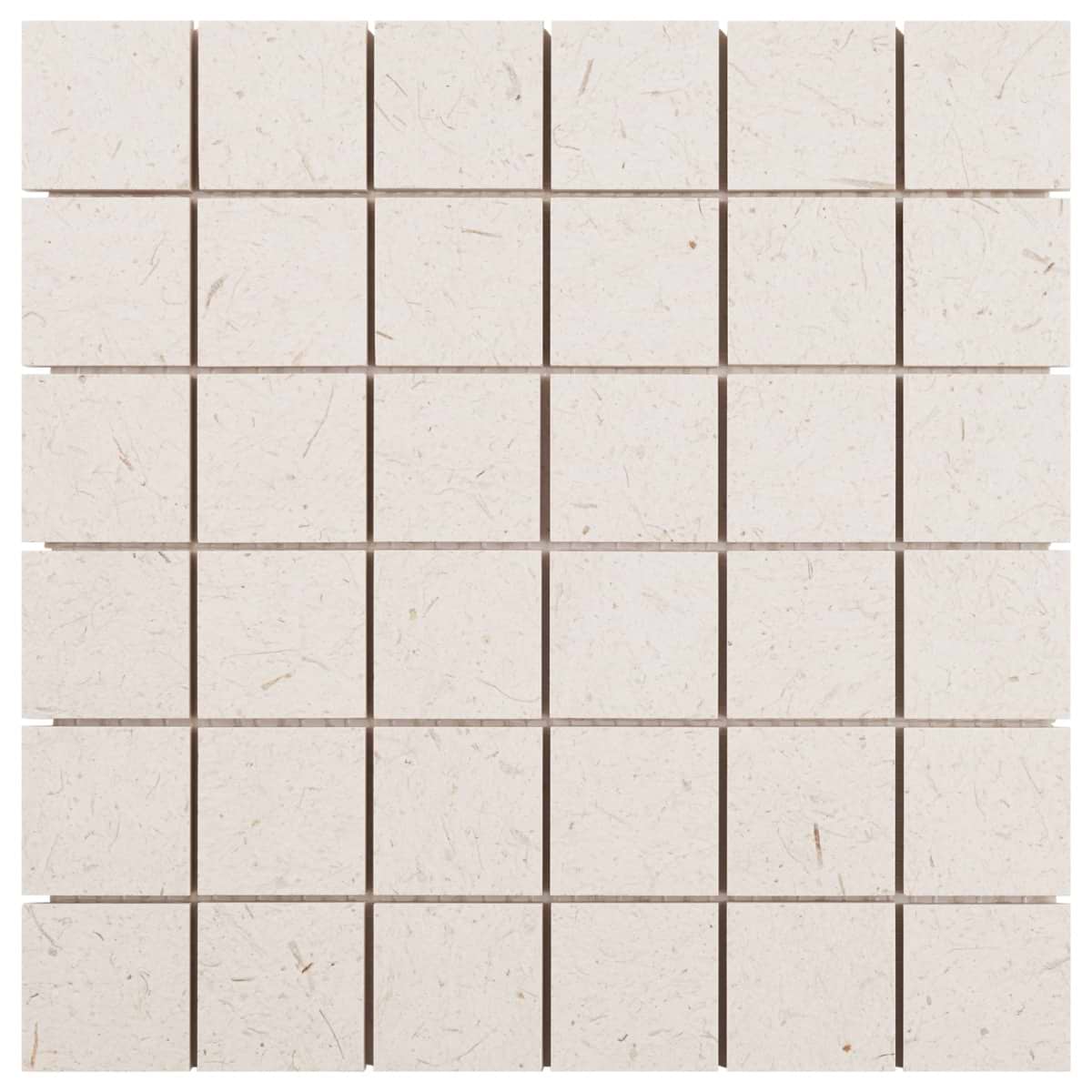 Paper 2X2 Matte