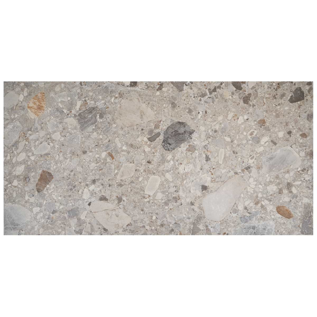 Earth 24X48 Matte