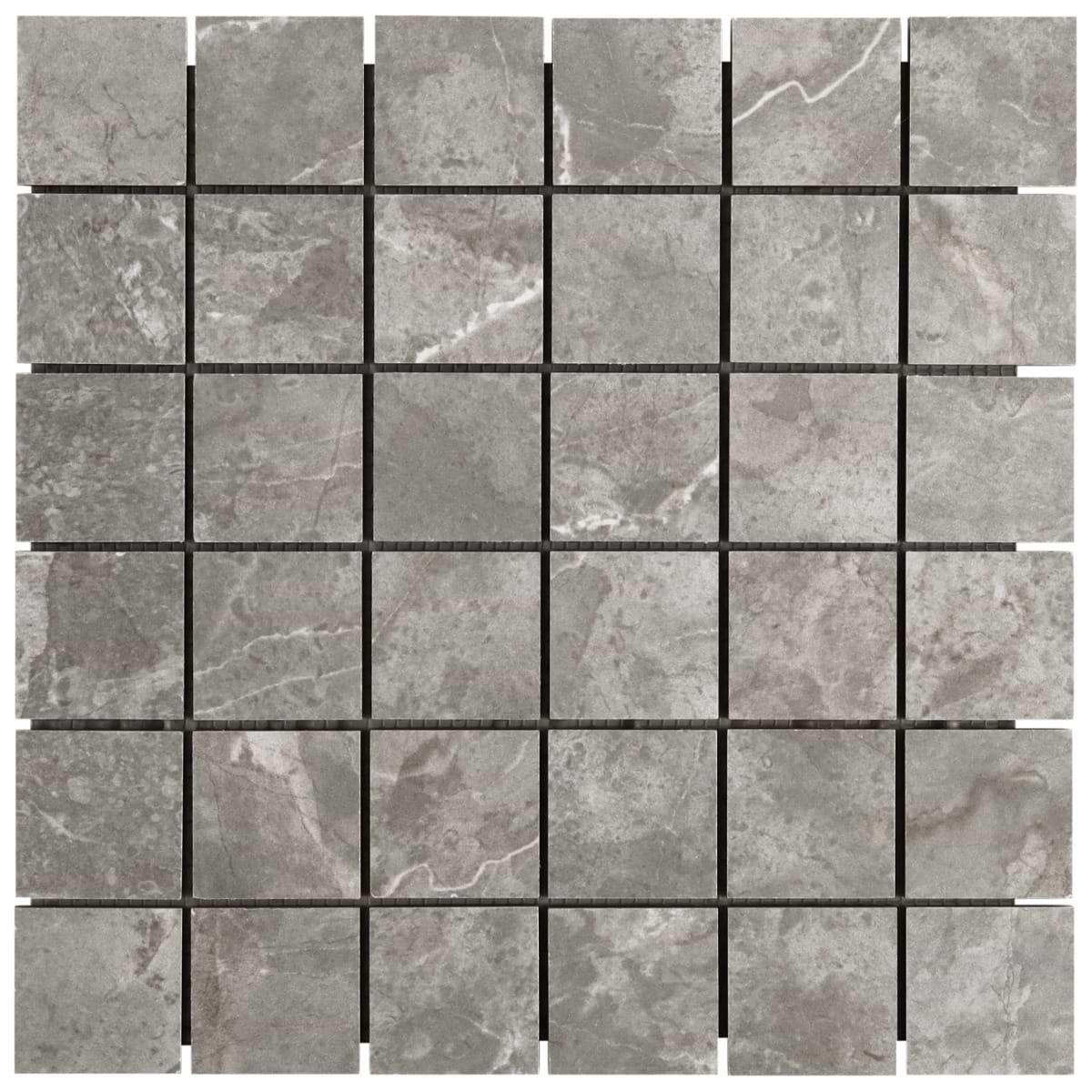Fossil Gray 2X2 Matte