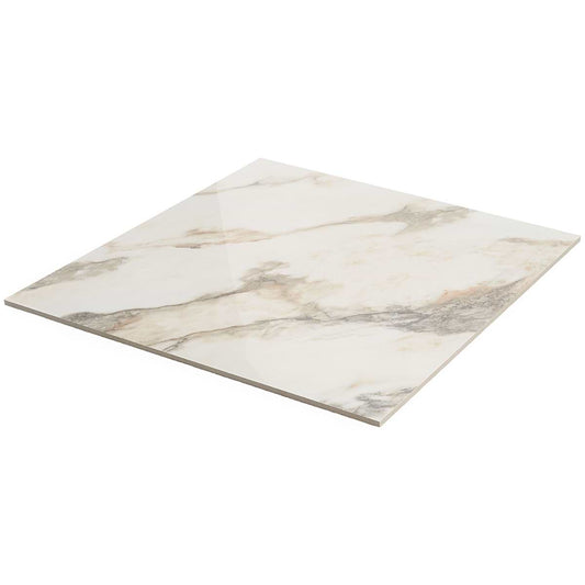 Calacatta Rustico 24X24 Polished (discontinued)