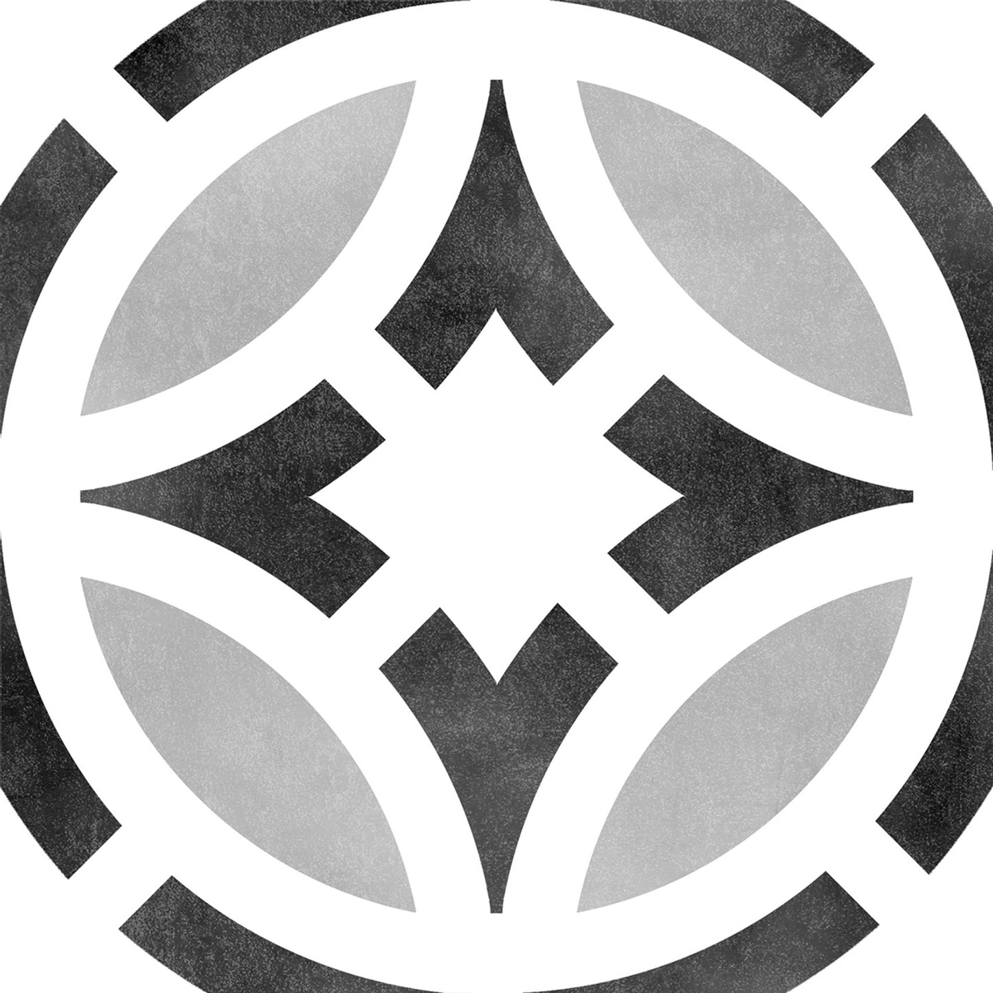 Star 6X6