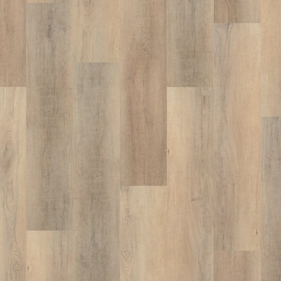 Bastion Elm 9x72
