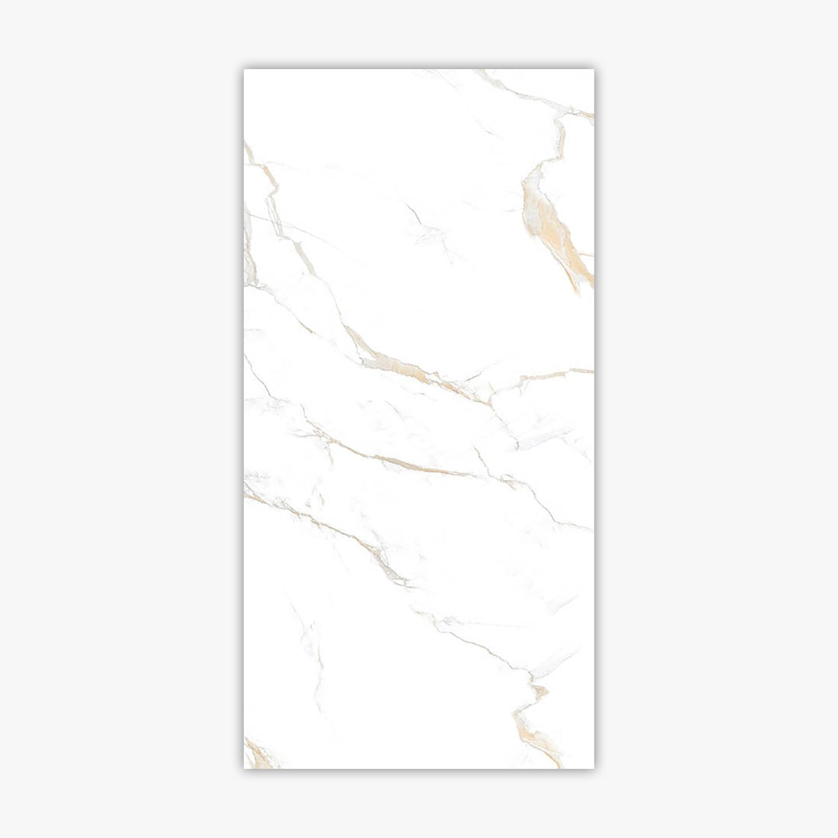 Calacatta Gold 24x48 Polished