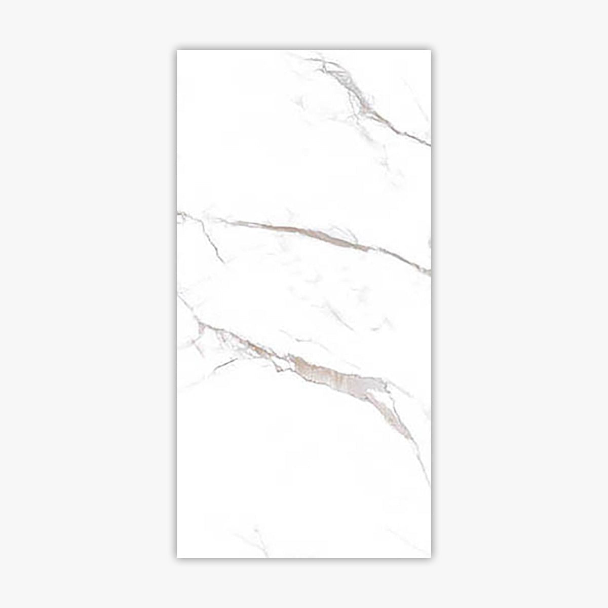 Calacatta Bronze 24x48 Polished