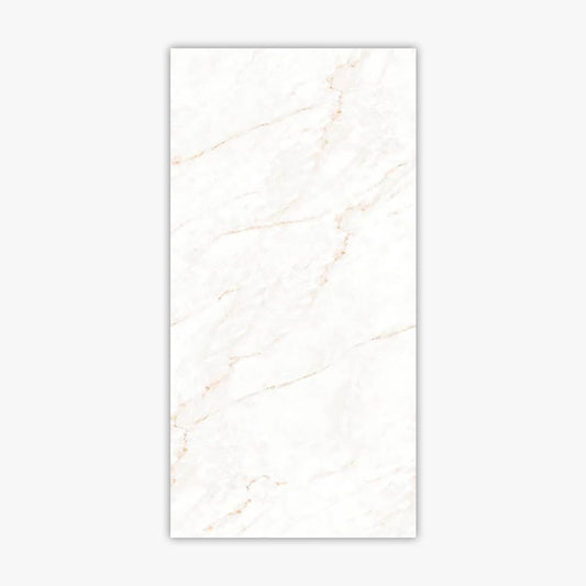 Calacatta Glam 24x48 Polished