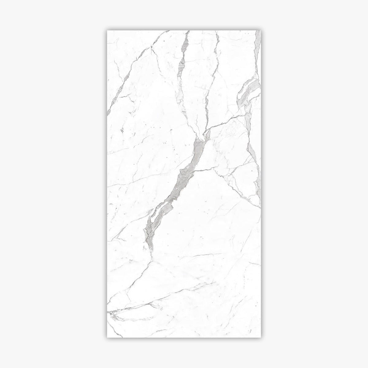 Calacatta Pearl 24x48 Polished