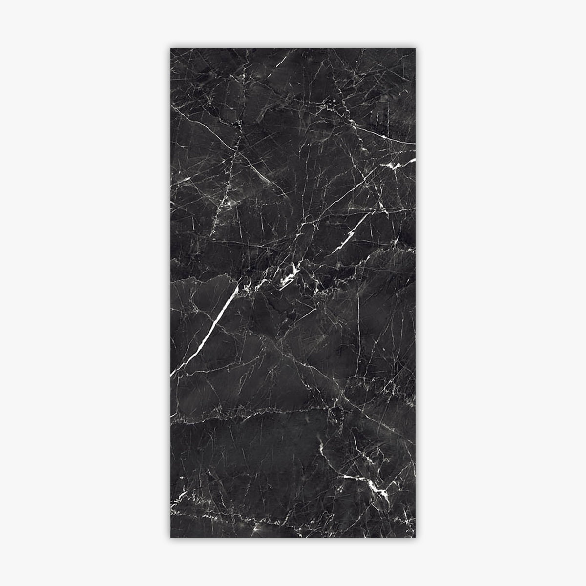 Charcoal Black 24x48 Polished